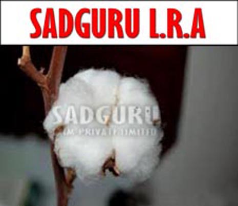 Sadguru L.r.a Raw Cotton