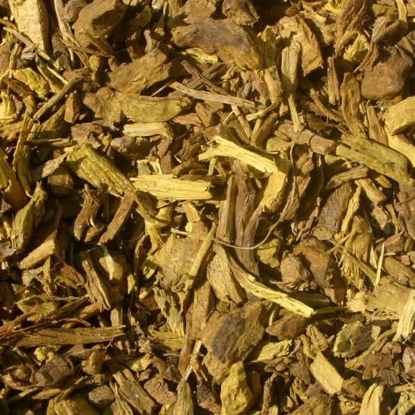 Barberry Root