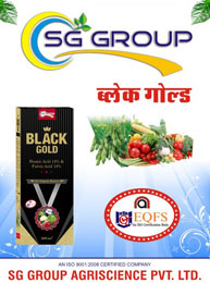 Black Gold Humic Acid Vitamin
