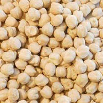 Organic chickpeas, for Cooking, Namkeen, Snacks, Style : Dried