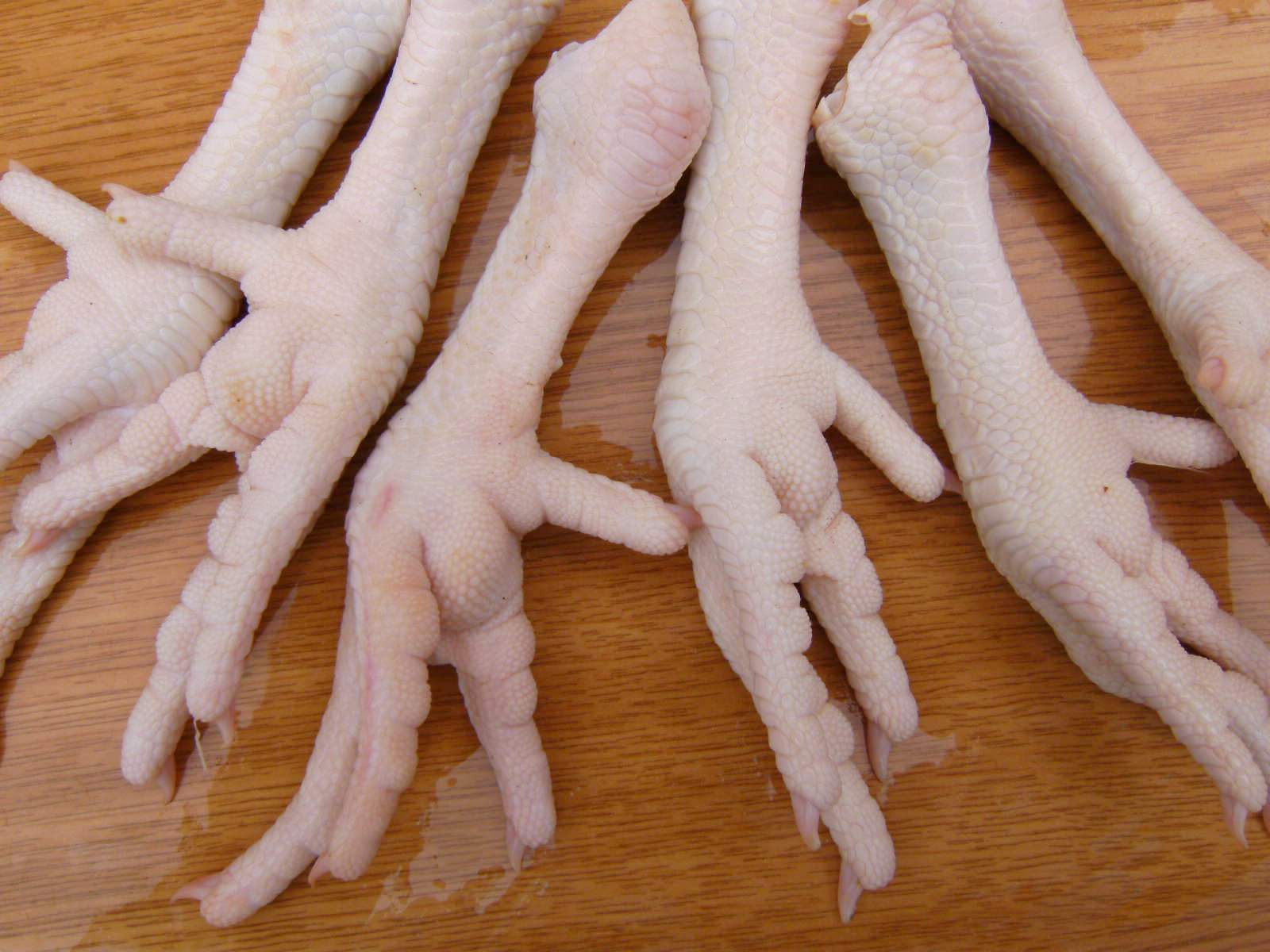 Frozen Chicken Feet, Frozen Chicken Paws by International Creamer Llc