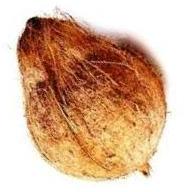 AgroPlus coconut