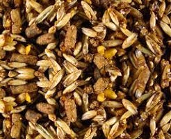 Animal Feed Barley