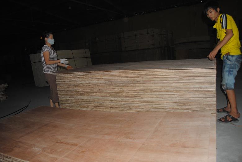 Keruing Plywood by Kego Co.,Ltd, keruing plywood, USD 250 / 350 Cubic