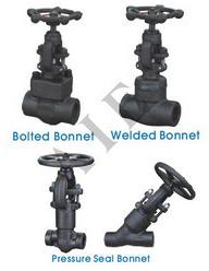 Forged Steel Globe Valve