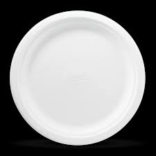 Paper dinner plate