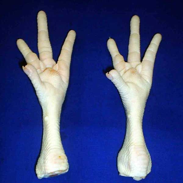 frozen chicken feet