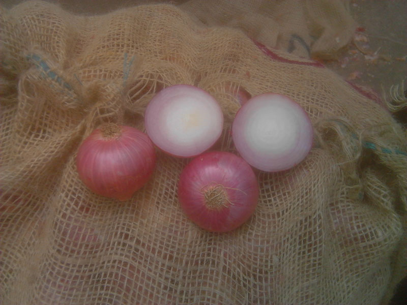 Bellary Onion, Color : Red