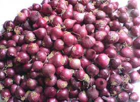 Krishnapuram Onions