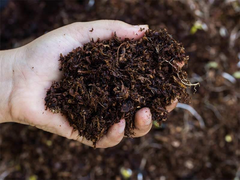 What Is Organic Fertilizer Examples