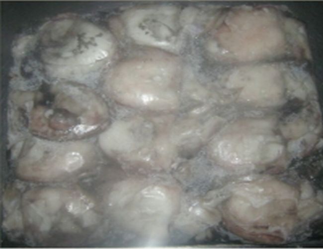 Frozen Cuttlefish Whole