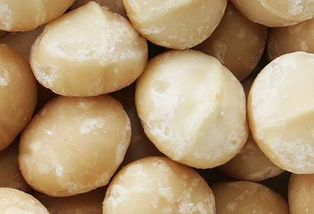 macadamia nut