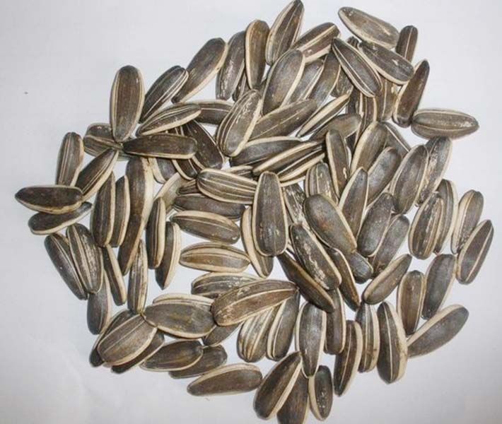 sunflower seeds