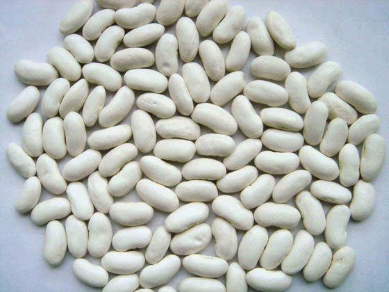 white kidney beans