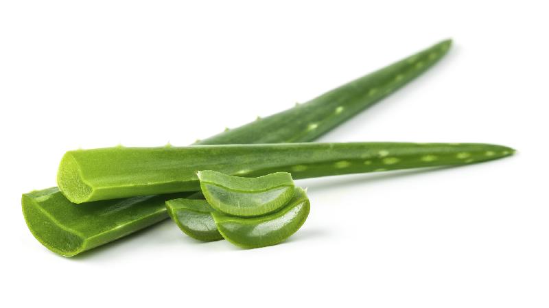 Organic Fresh Aloe Vera Leaves, for Juice, Skin Products, Packaging Type : Plastic Pouch, Pp Bags