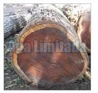 Azobe Logs