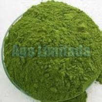 moringa powder