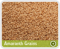 Amaranth Grains
