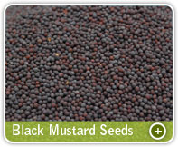 mustard seeds