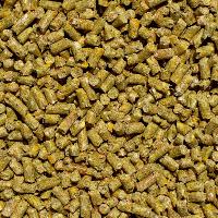 Goat Feed Buy Goat Feed in Erode Tamil Nadu India from SKM Animal Feeds &  Foods (India) Limited