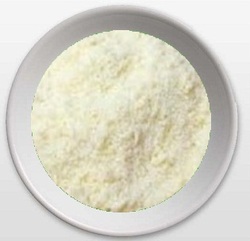 Roto Molding Powder