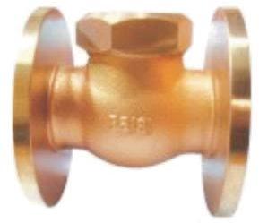 Bronze Union Cap Flanged