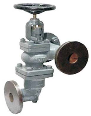 Cast Iron Accessible Feed Check Valve