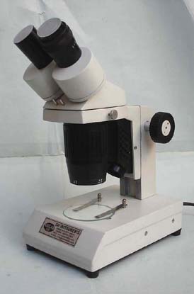 Stereo Microscope