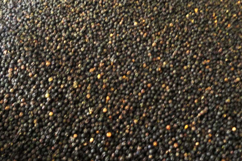 black pepper seeds