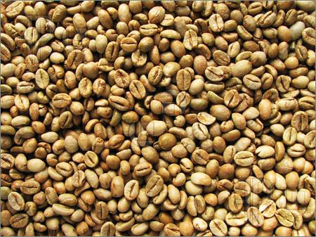 Robusta Coffee Beans