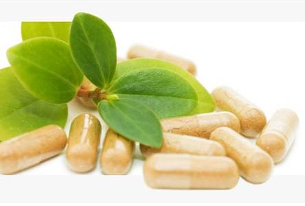 Pharmaceutical Food Supplements