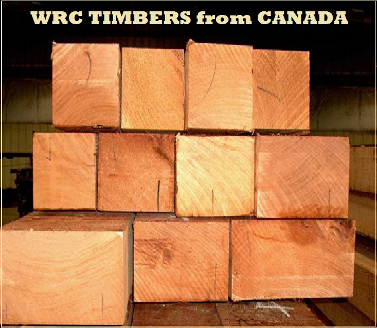 Western Red Cedar Timber