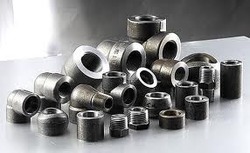 Stainless Steel Forged Fittings