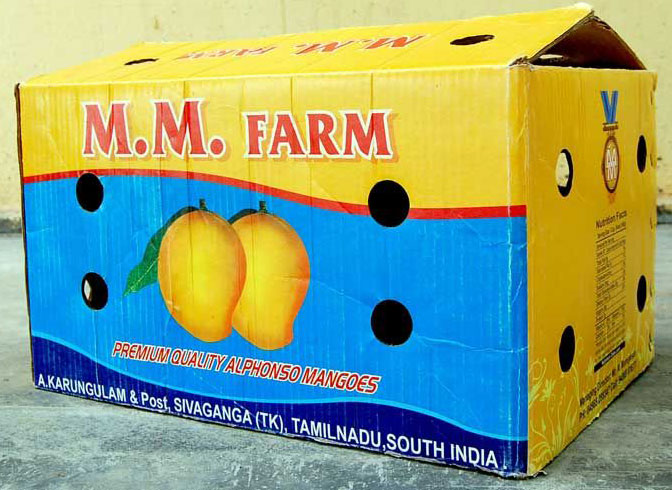 Slotted Carton With Surface Holes