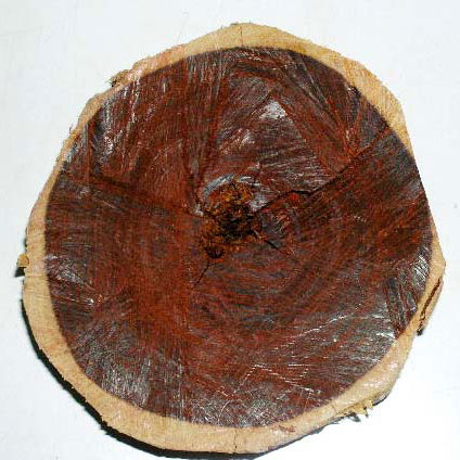 red sandalwood logs