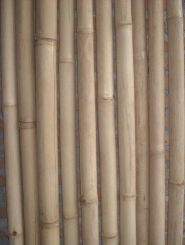 Natural Bamboo Poles