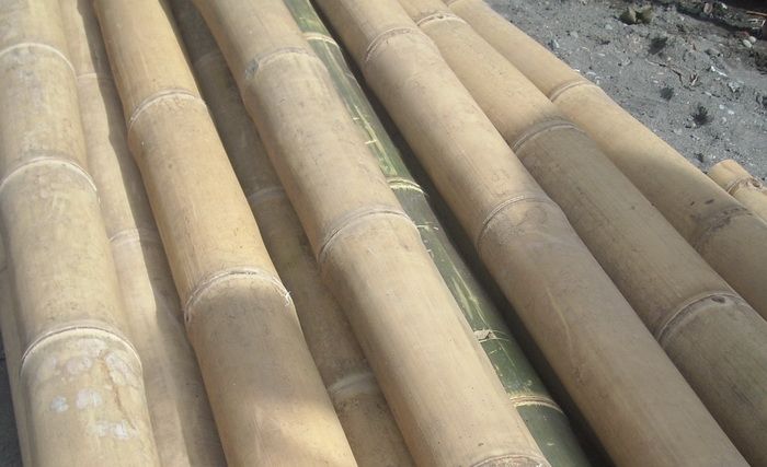 Petung Bamboo Poles