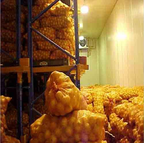 Onion Cold Storage Rental
