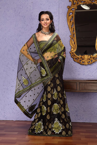 Embroidered Partywear Saree