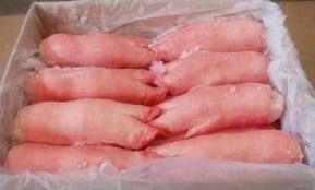 Frozen Pork Feet