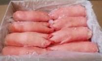 Frozen Pork Feet, Frozen Pork Meat