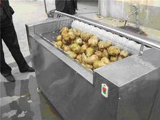 Potato Cleaning Machine