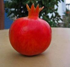 Sendry Pomegranate