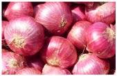 Fresh Onion, Red Onion