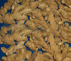 dried ginger