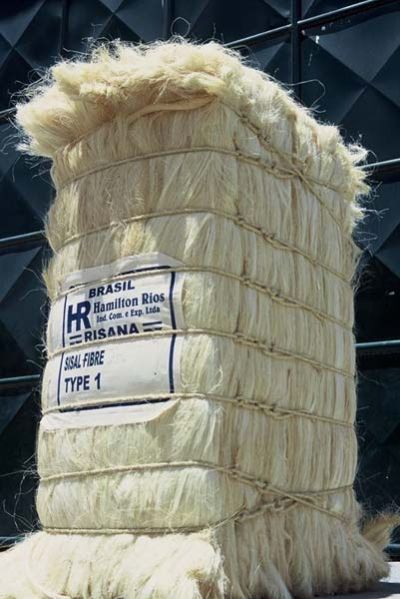 Sisal Fiber -Type 1