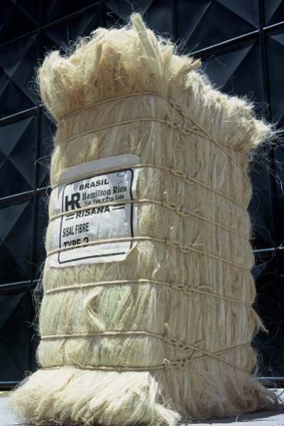 Sisal Fiber- Type 2