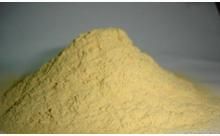 Yeast Powder