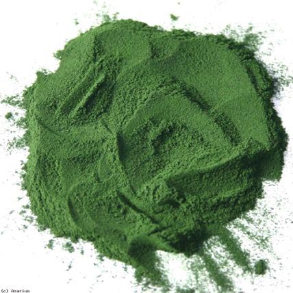 Spirulina Powder