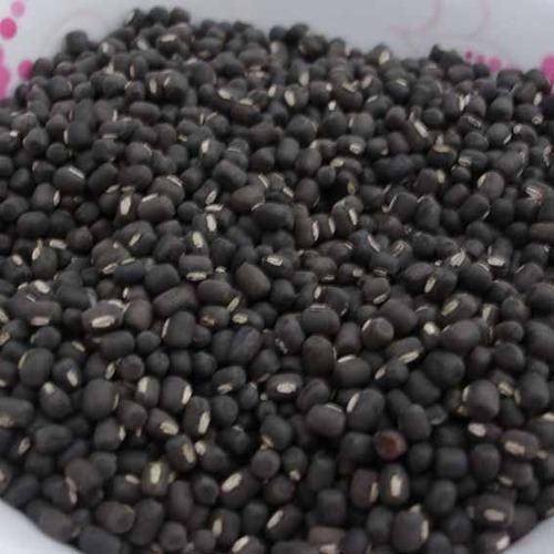 black-gram-dal-manufacturer-exporters-from-india-id-1302295